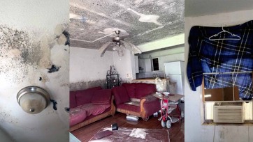 Views from three rental units that include mold or structural issues